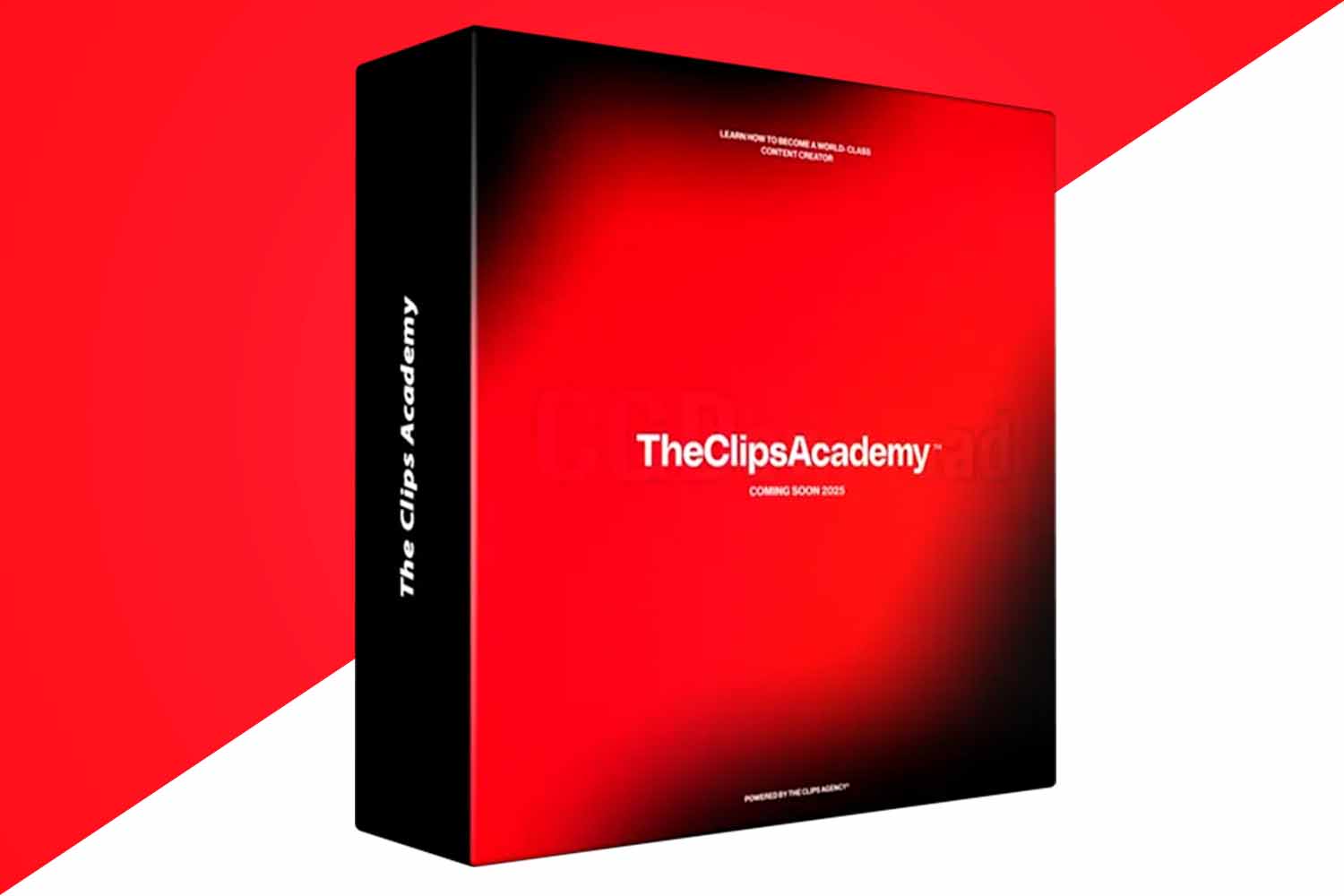 The Clips Academy Become a Signature Editor in 60 Days