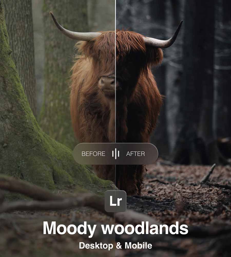 Moody Woodlands Lightroom Preset Pack by Amar Muric