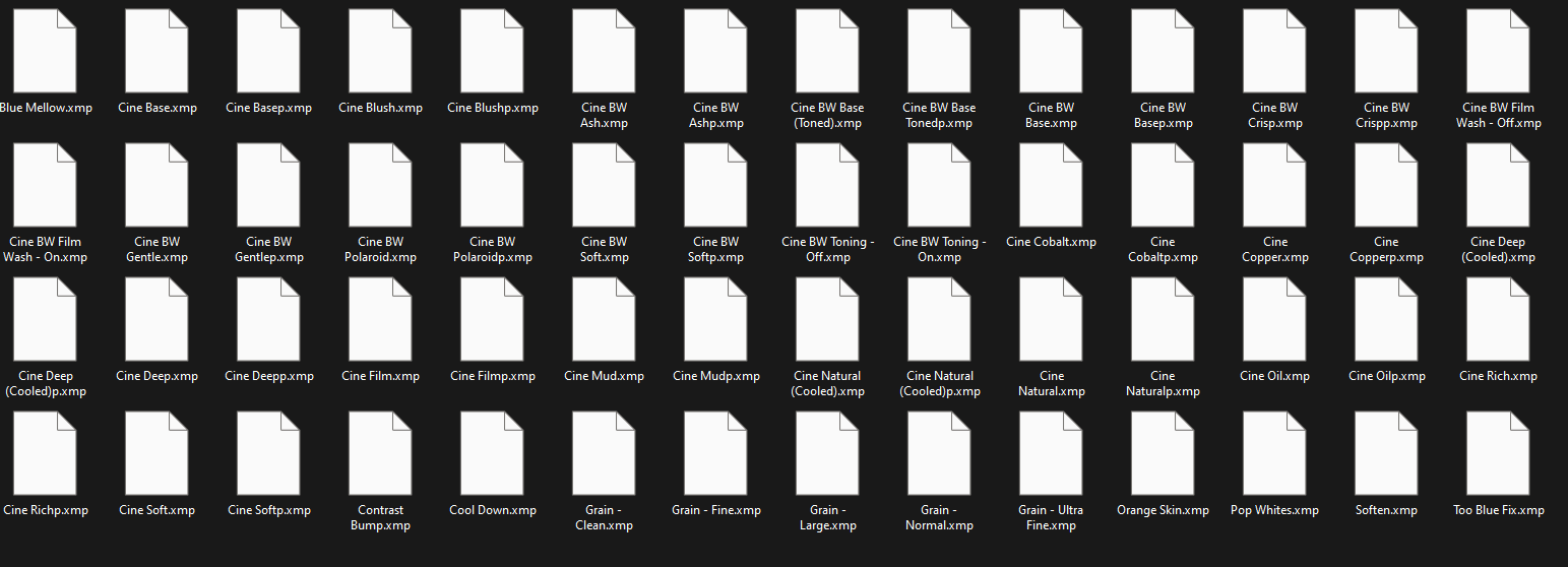 Dvlop Cine Presets by India Earl Proof