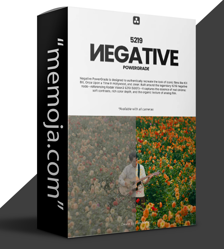 Negative Powergrade Davinci Resolve by Loris Marie