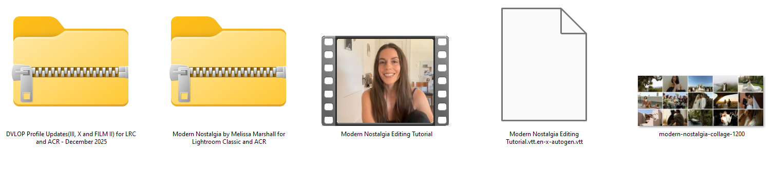 Dvlop Modern Nostalgia by Melissa Marshall Proof