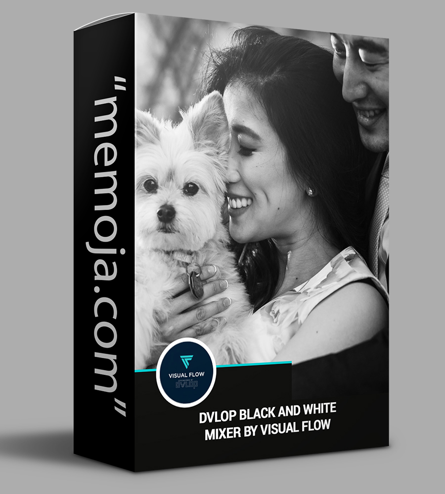 Dvlop Black and White Mixer by Visual Flow