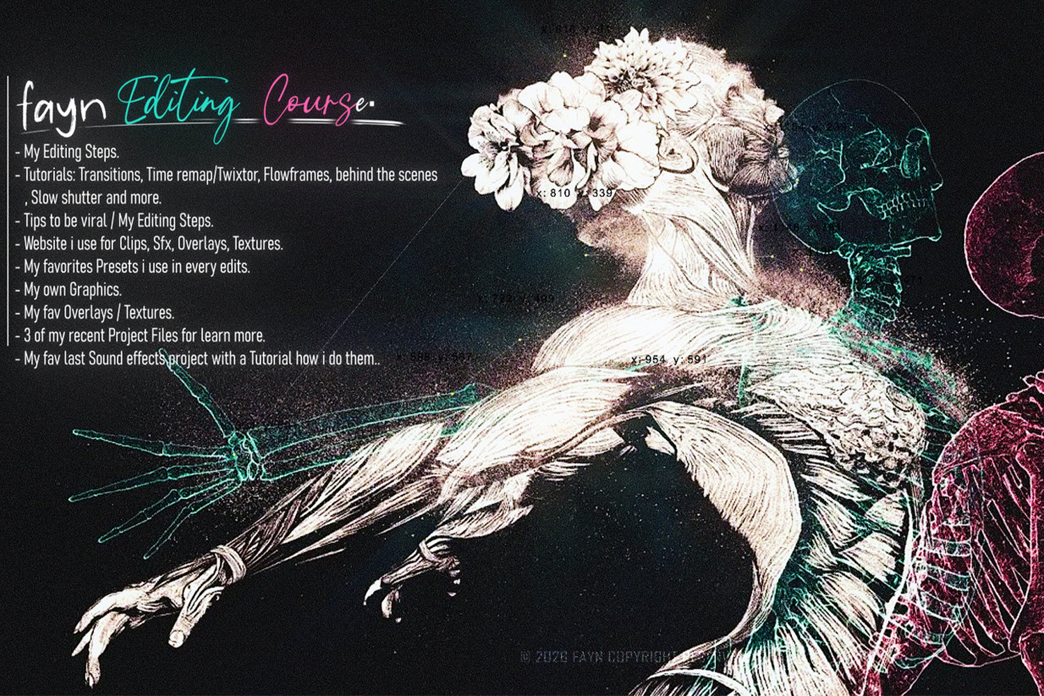 payhip Fayn editing course 2026