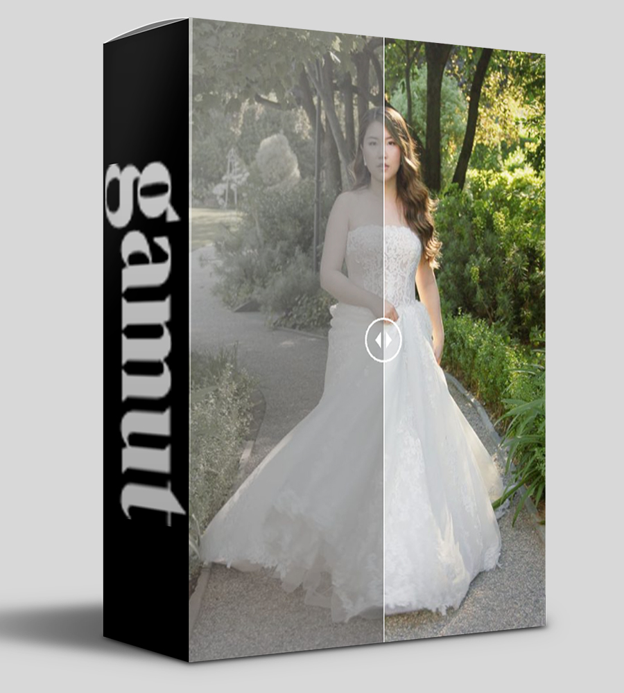 Le Reve Luts by Gamut