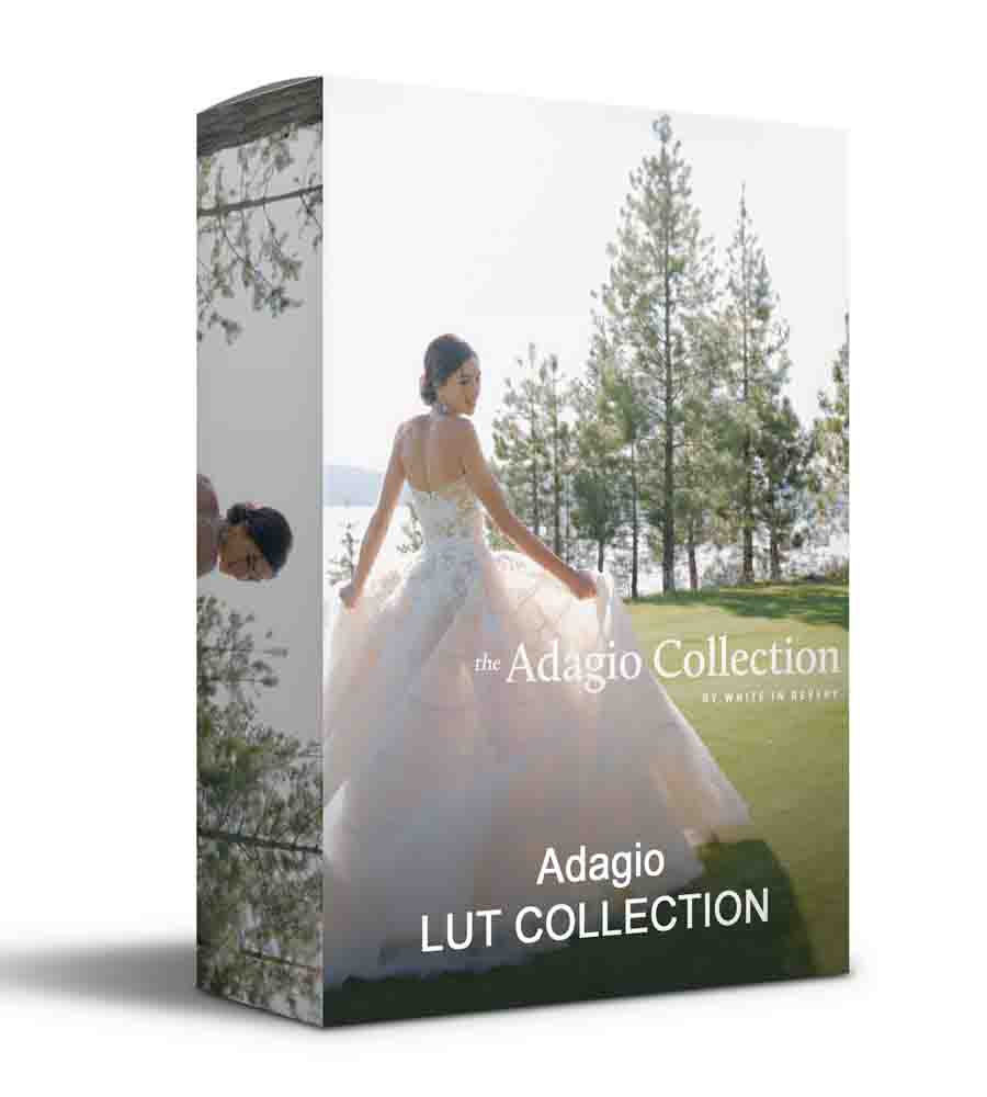 White In Revery Adagio Fine Art Wedding LUTS