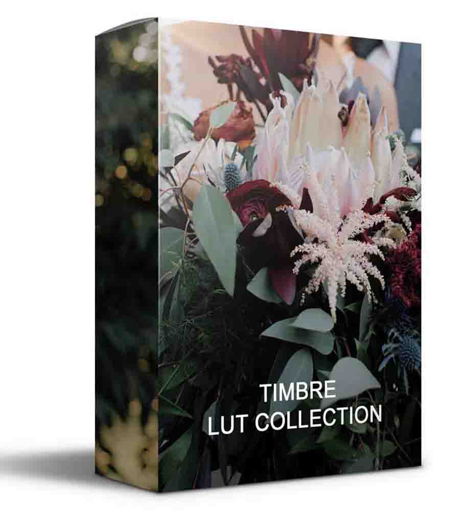 White In Revery Timbre LUTs