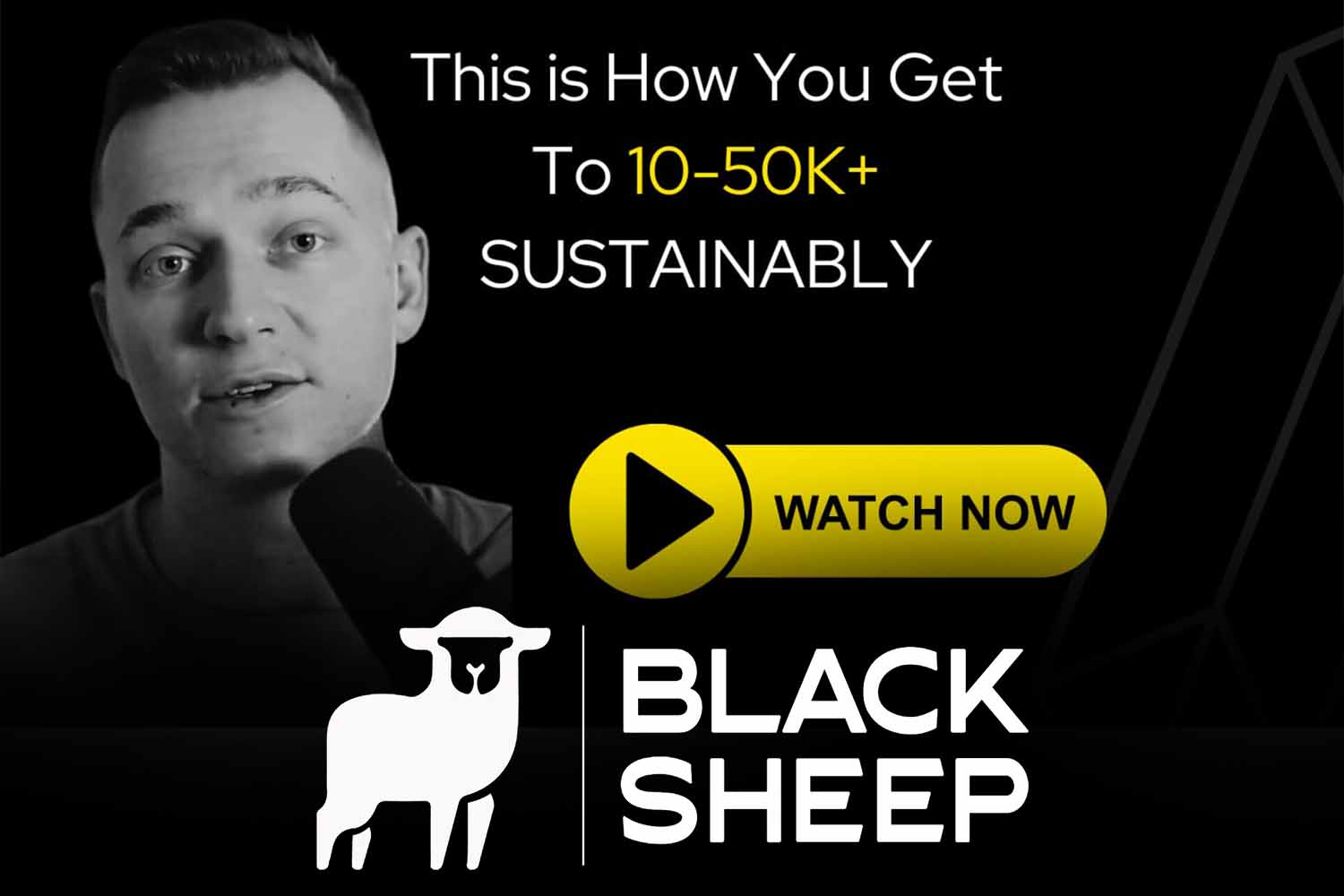 Black Sheep Agency Course by Hayden Ralph